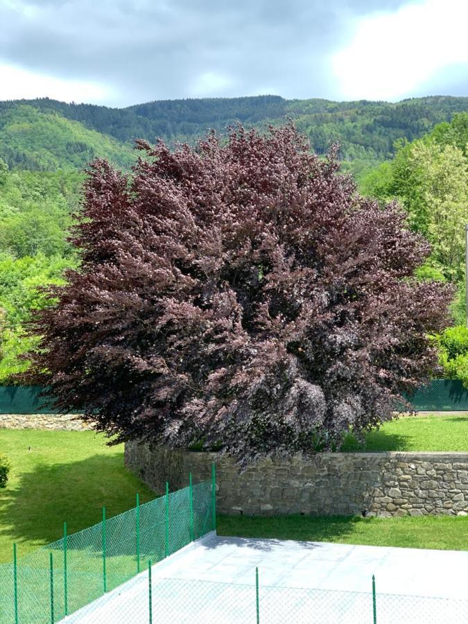 Nidi Del Faggio Rosso - Family Holiday Home Maresca Kültér fotó