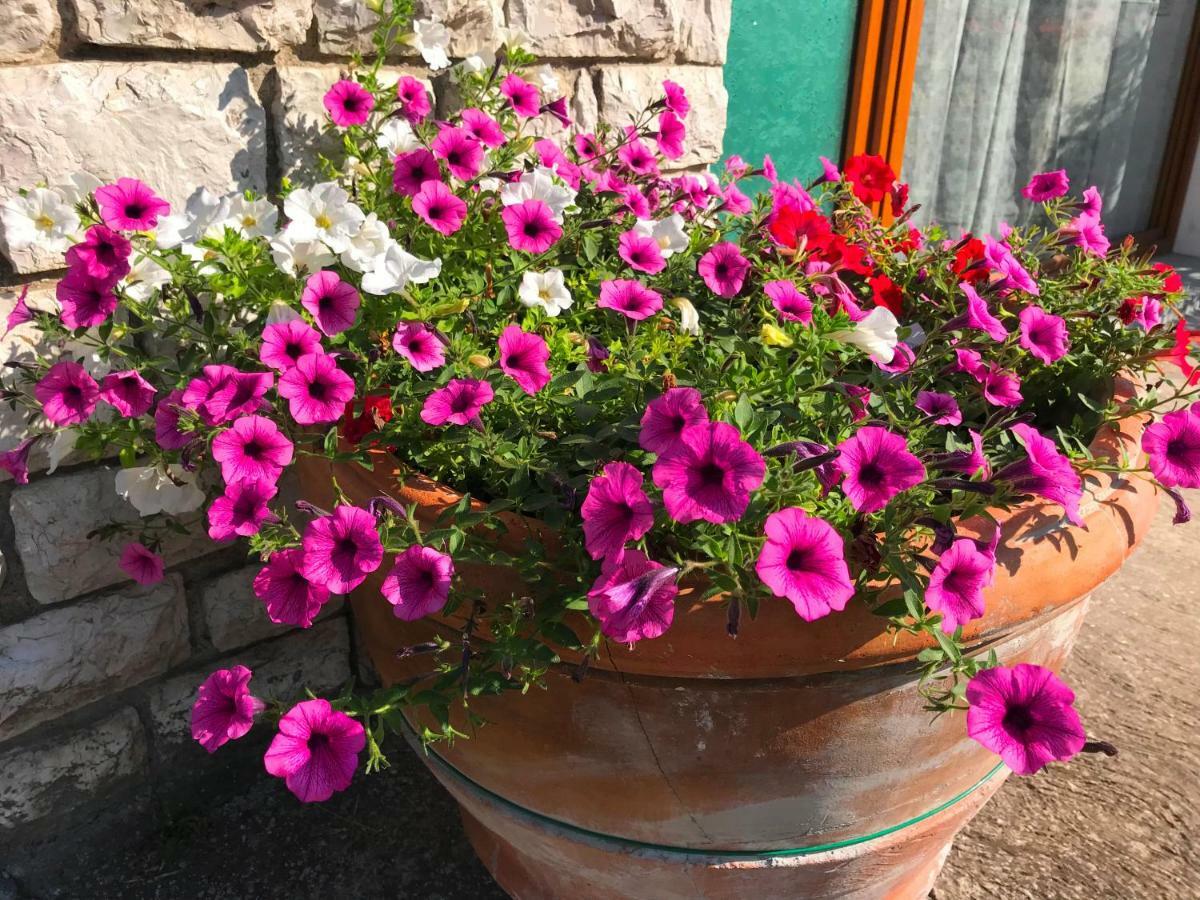 Nidi Del Faggio Rosso - Family Holiday Home Maresca Kültér fotó